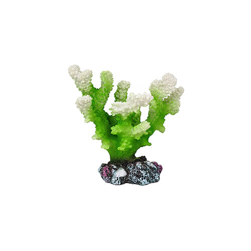 Aqua Care Ornament Coral Green/White