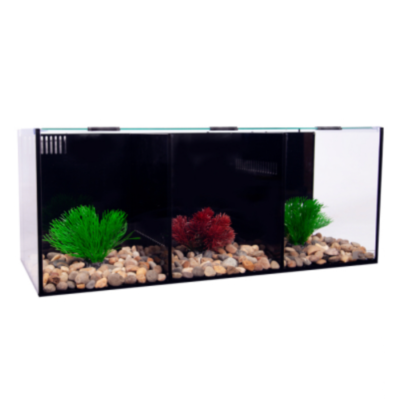 Aqua One Betta Condo Trio Fish Tank