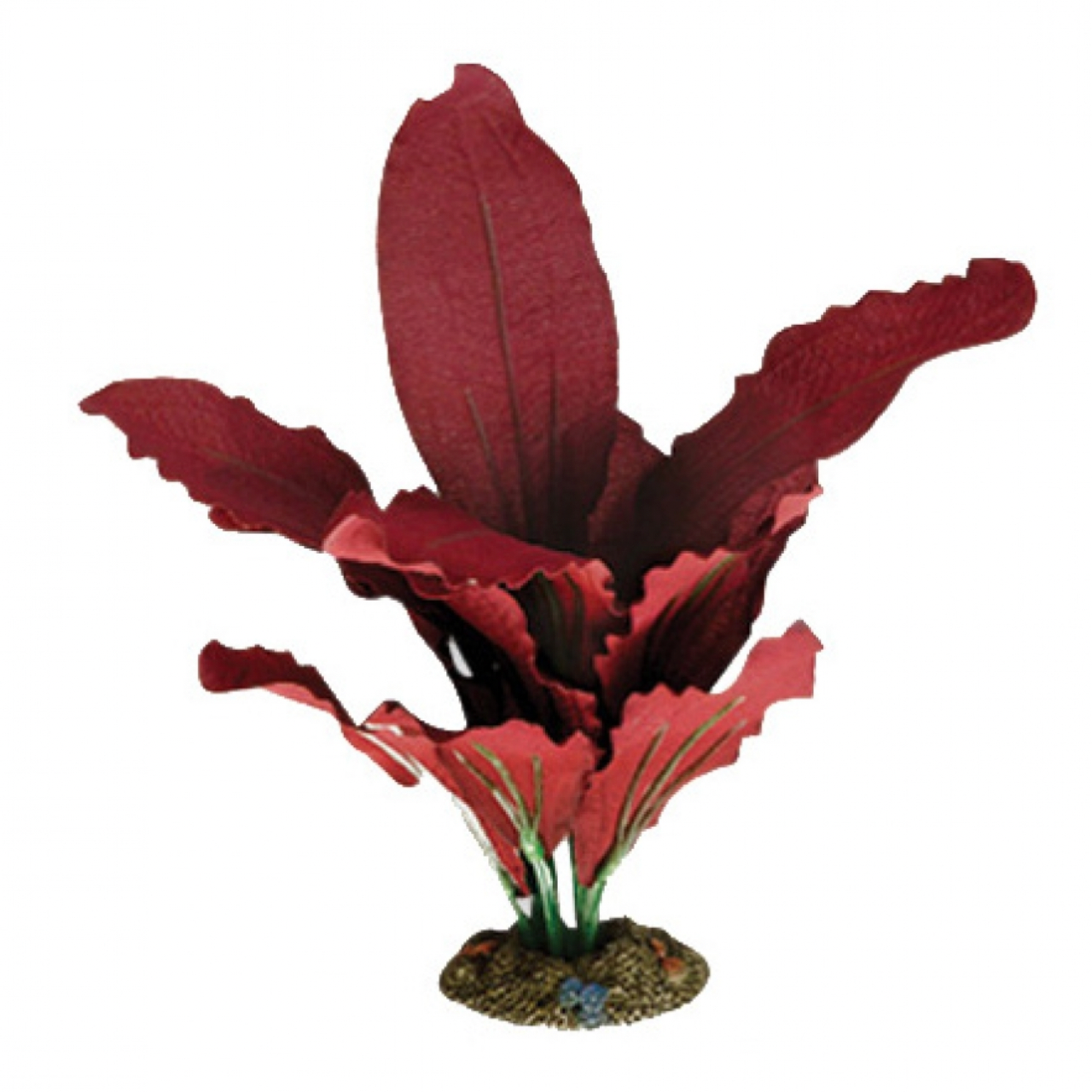 Aquarium Plants | Little Beasts Pet Shop