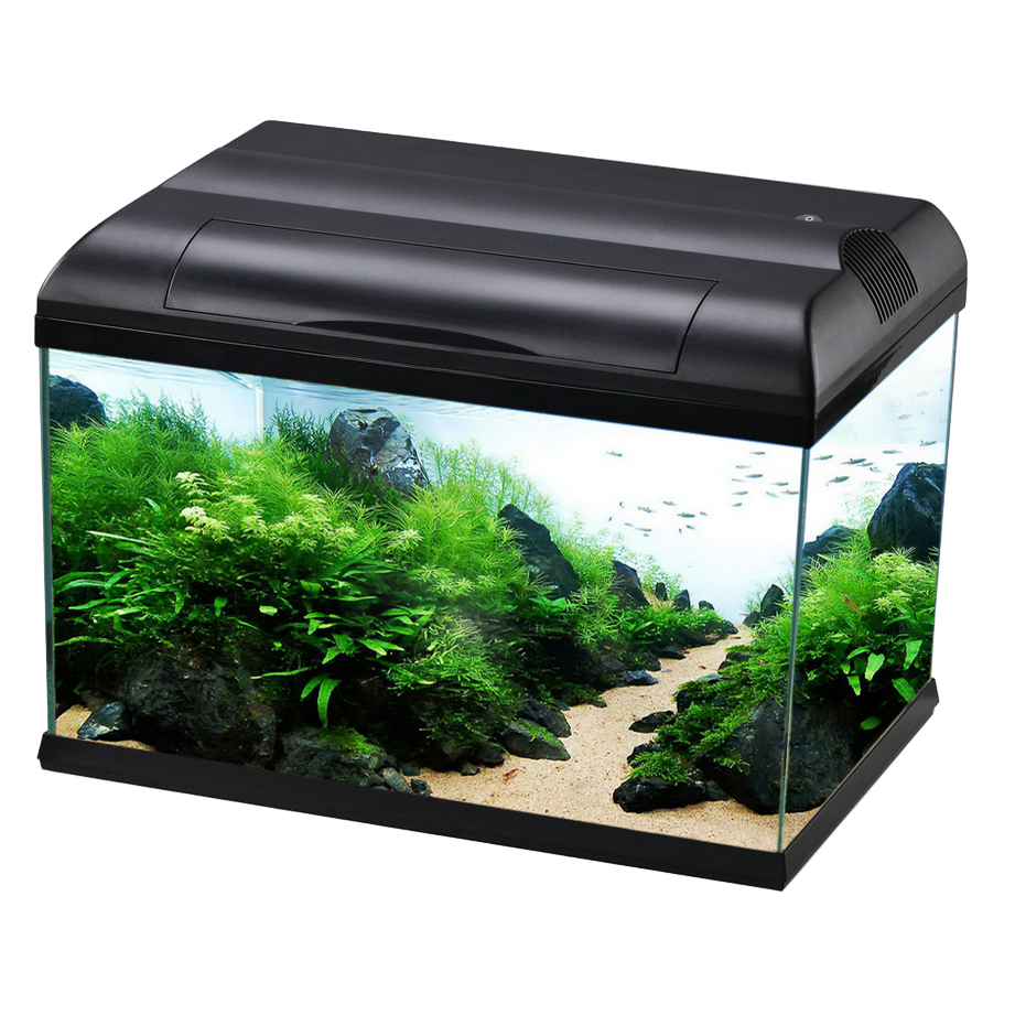 EcoStyle Rectangular Aquarium
