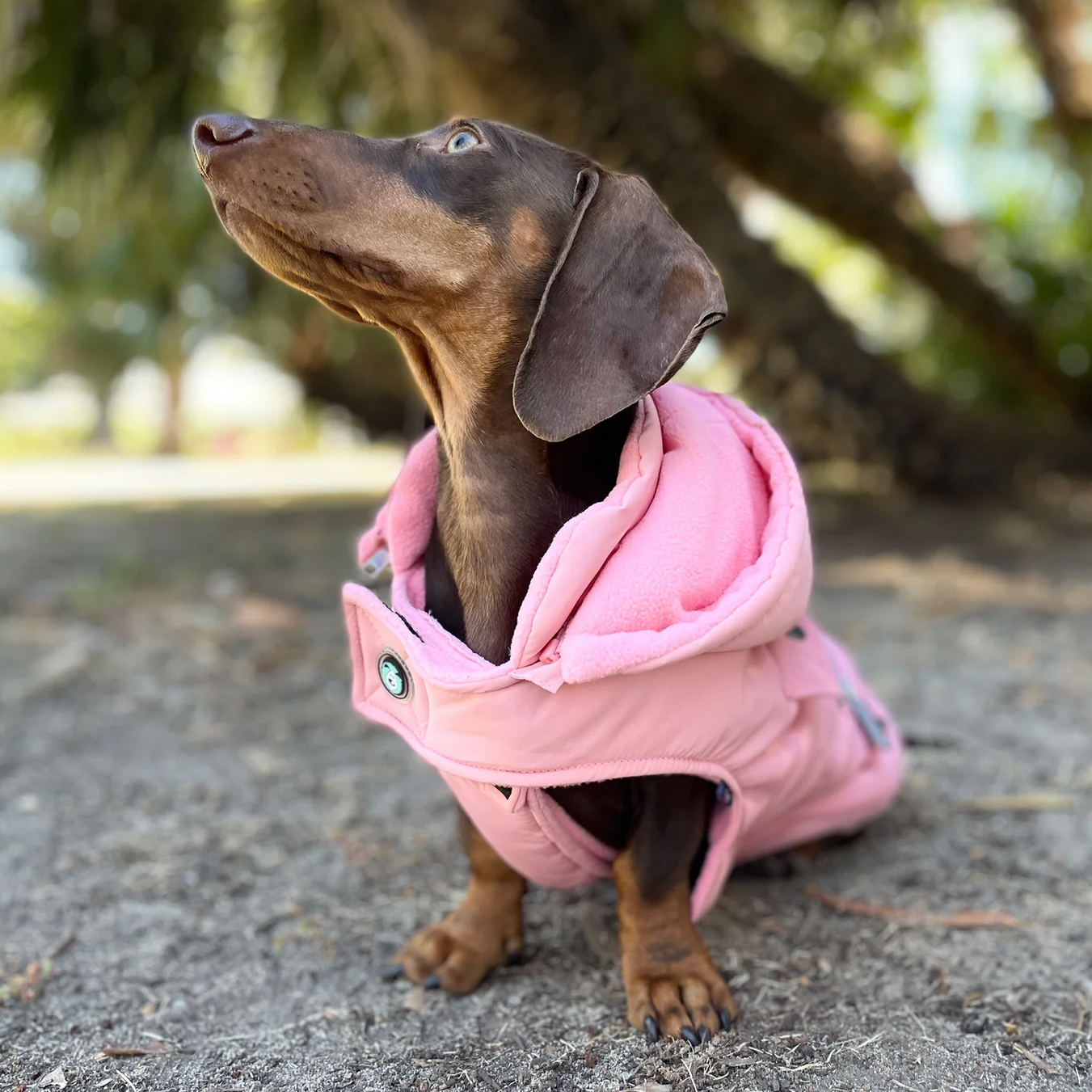 Huskimo Coat Mt Buller - Rose Pink