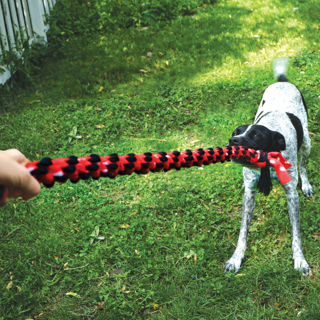 KONG Signature Rope 20' Dual Knot