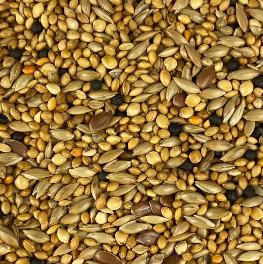 Finch Mix