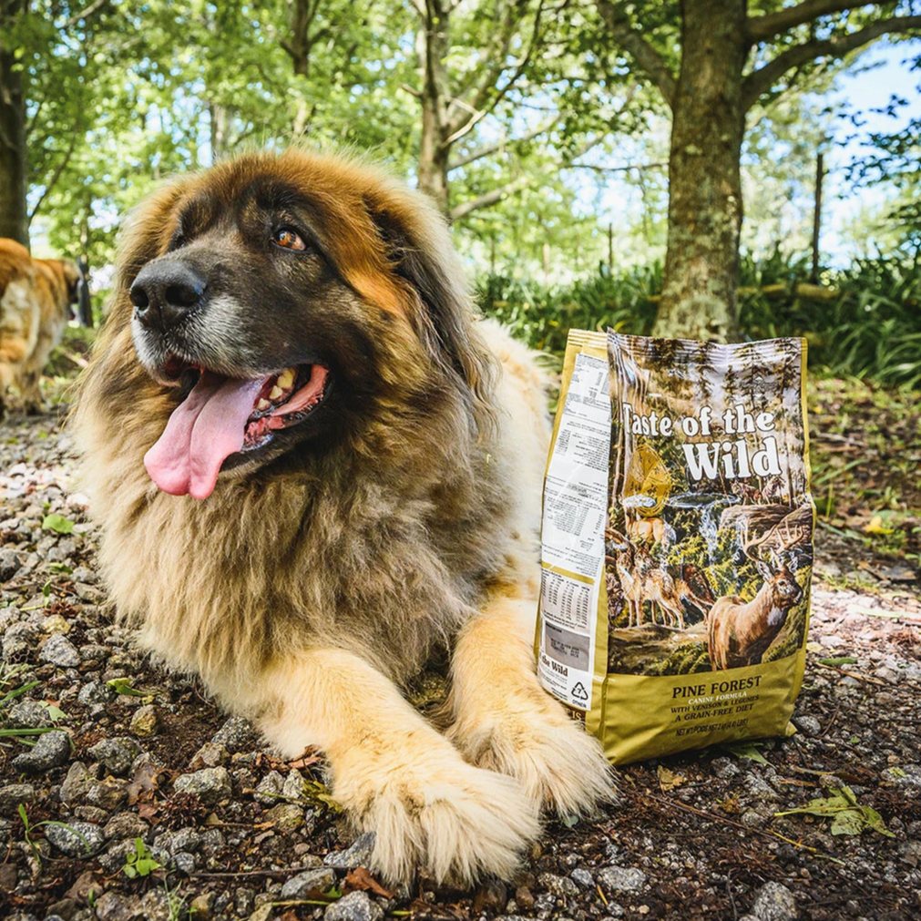 Taste Of The Wild | Pine Forest | Canine Formula