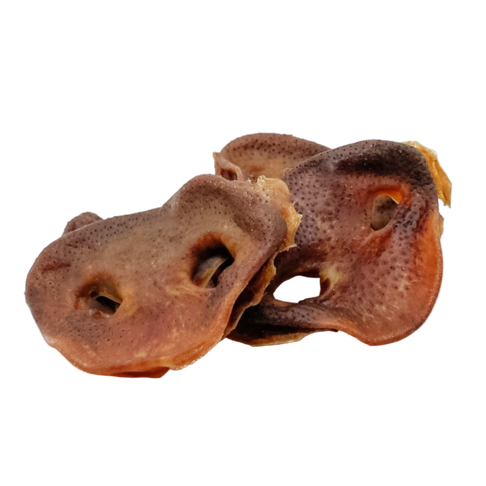 Pigs Snout