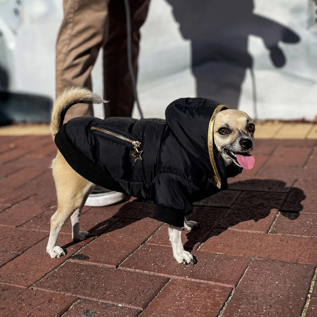 Huskimo Dog Coat Gangsta