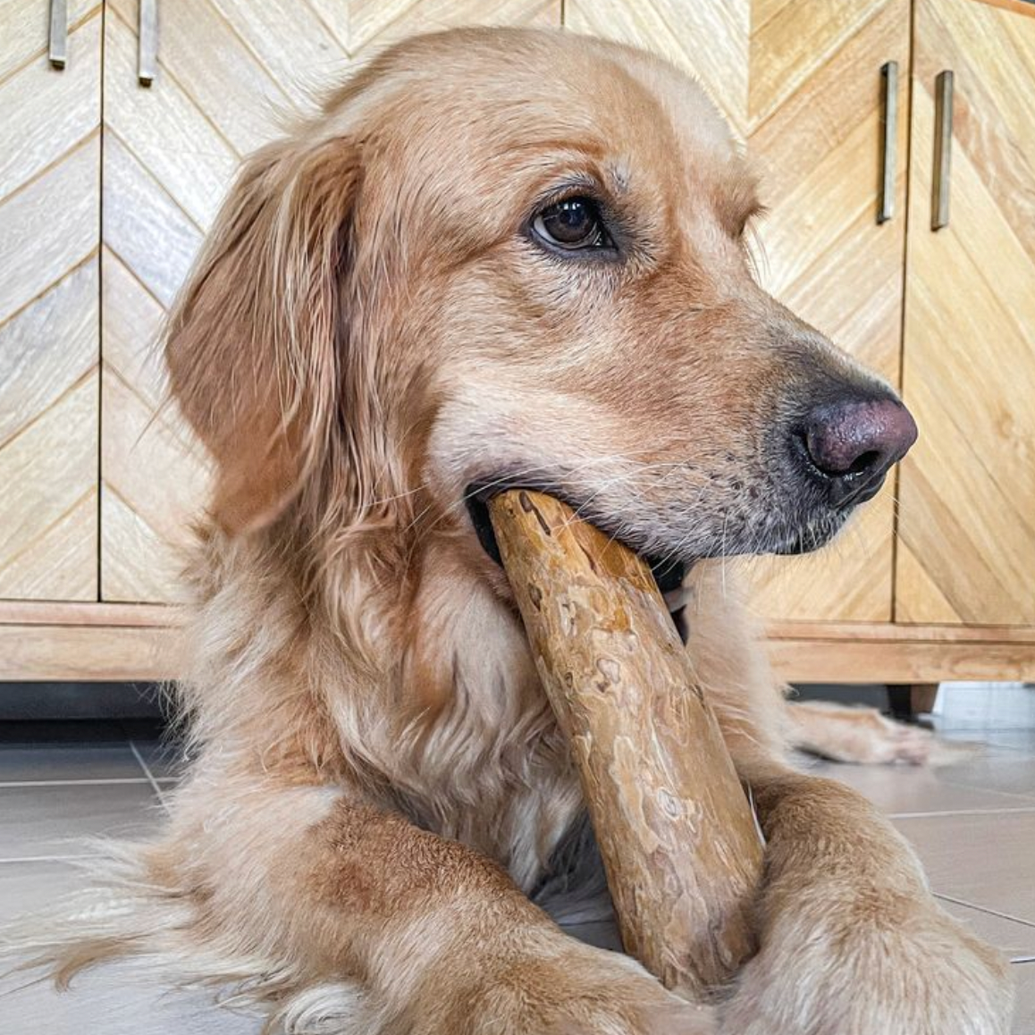 Canine Care Dog Wood Chew