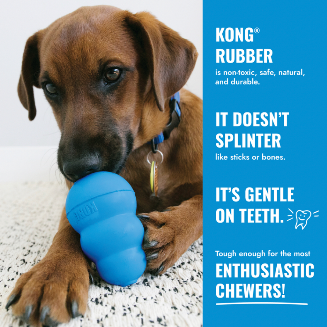 KONG Puppy