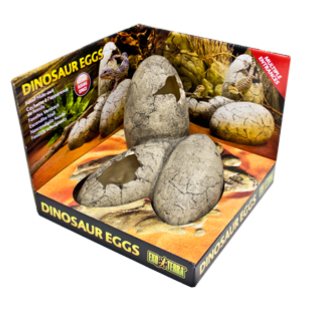 Exo Terra Dinosaur Eggs Hide Out