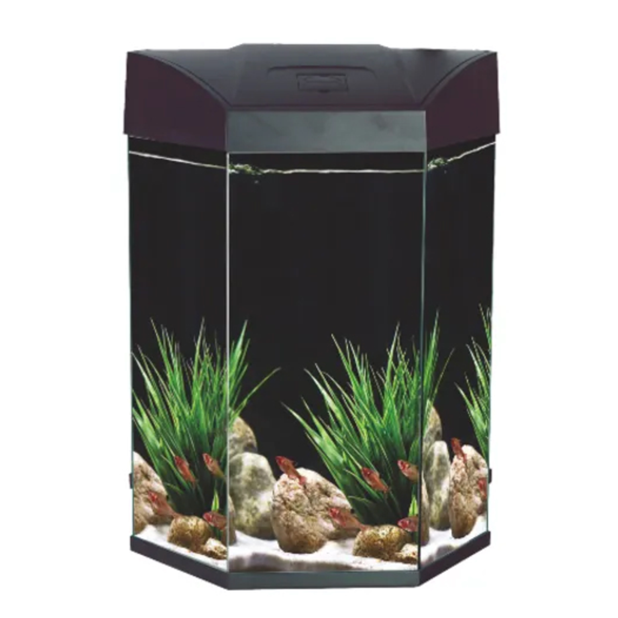 Hex Aquarium 70L - Black