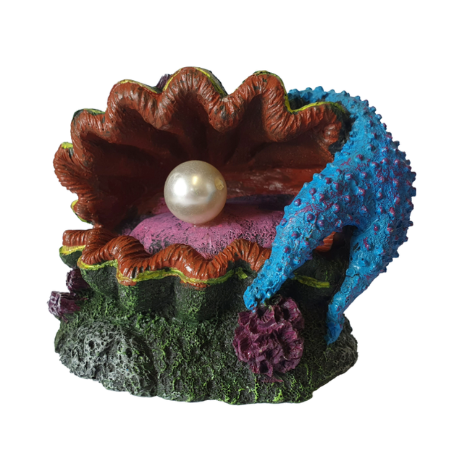 Oyster shell with pearl