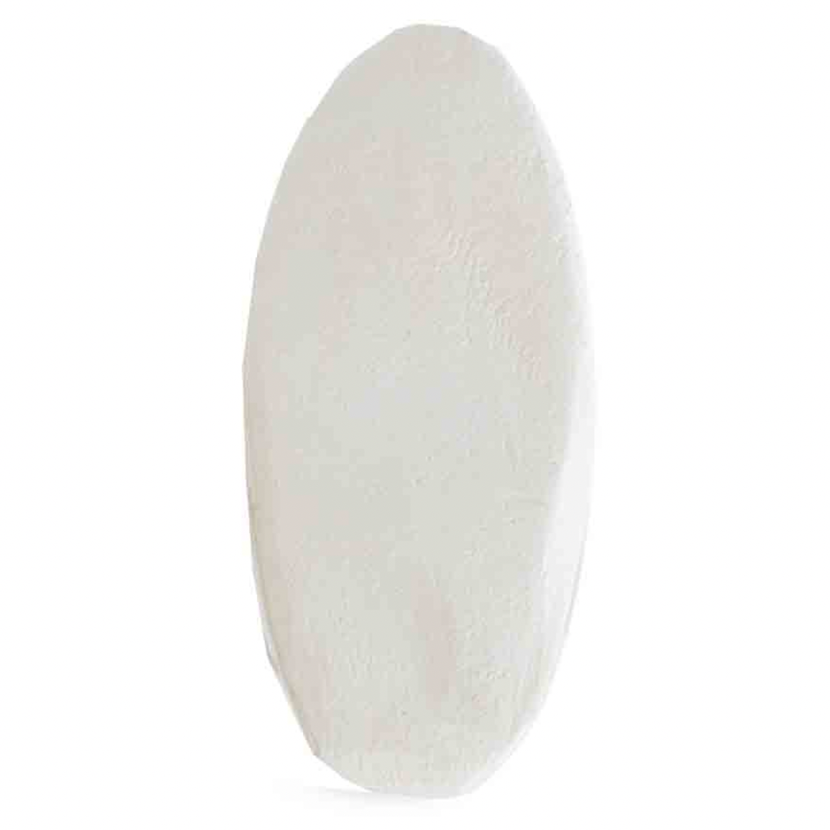 Top Flight Cuttlefish Bone + Holder