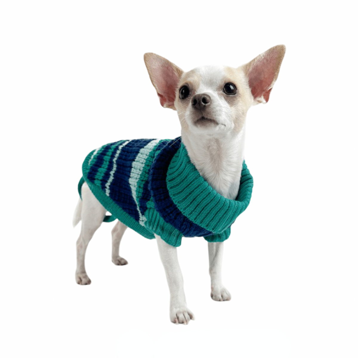 Huskimo Ski Lodge green dog jumper for winter
