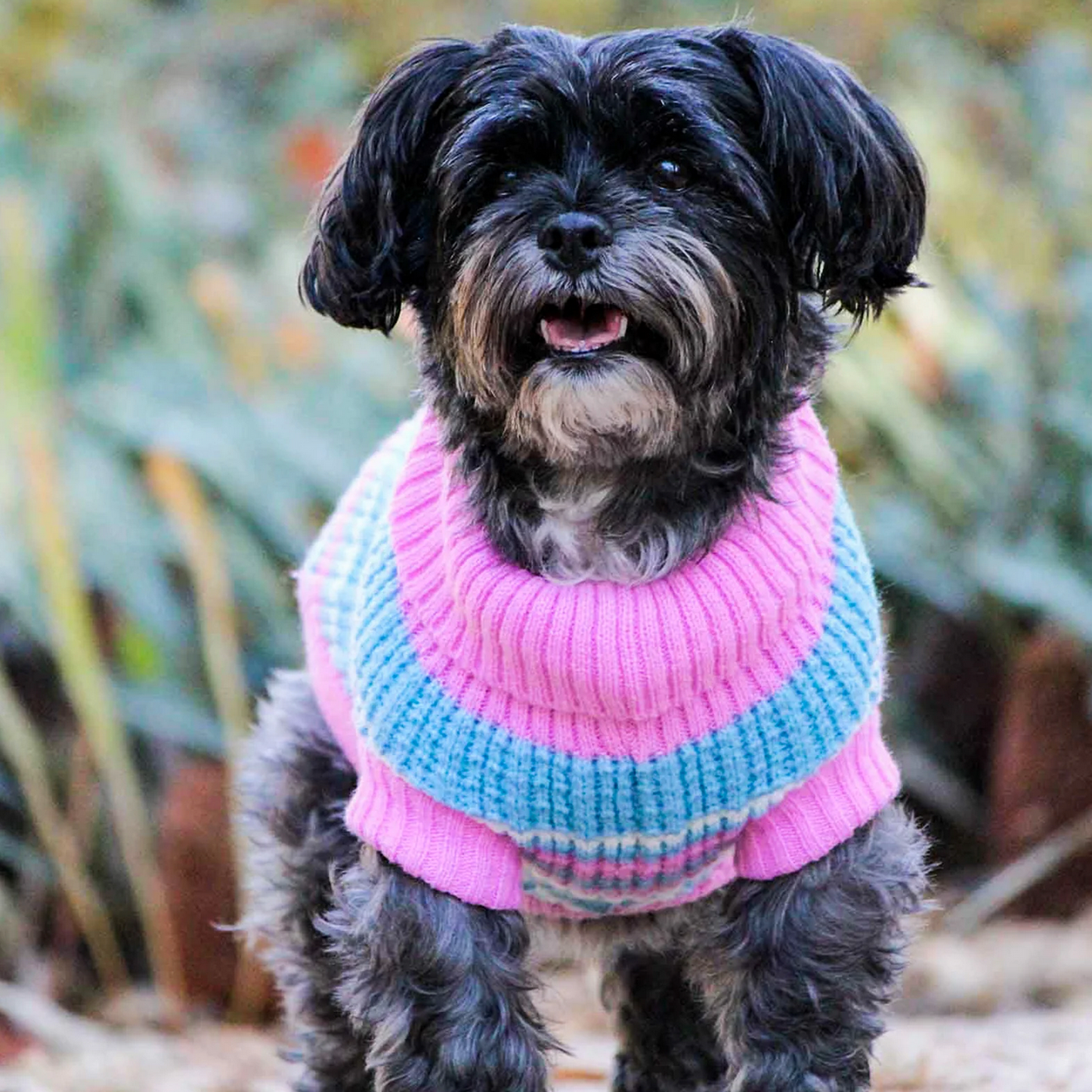 Huskimo Ski Lodge pink dog jumper for winter weather