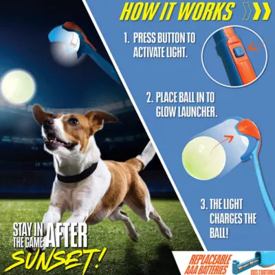NERF Dog Glow Launcher