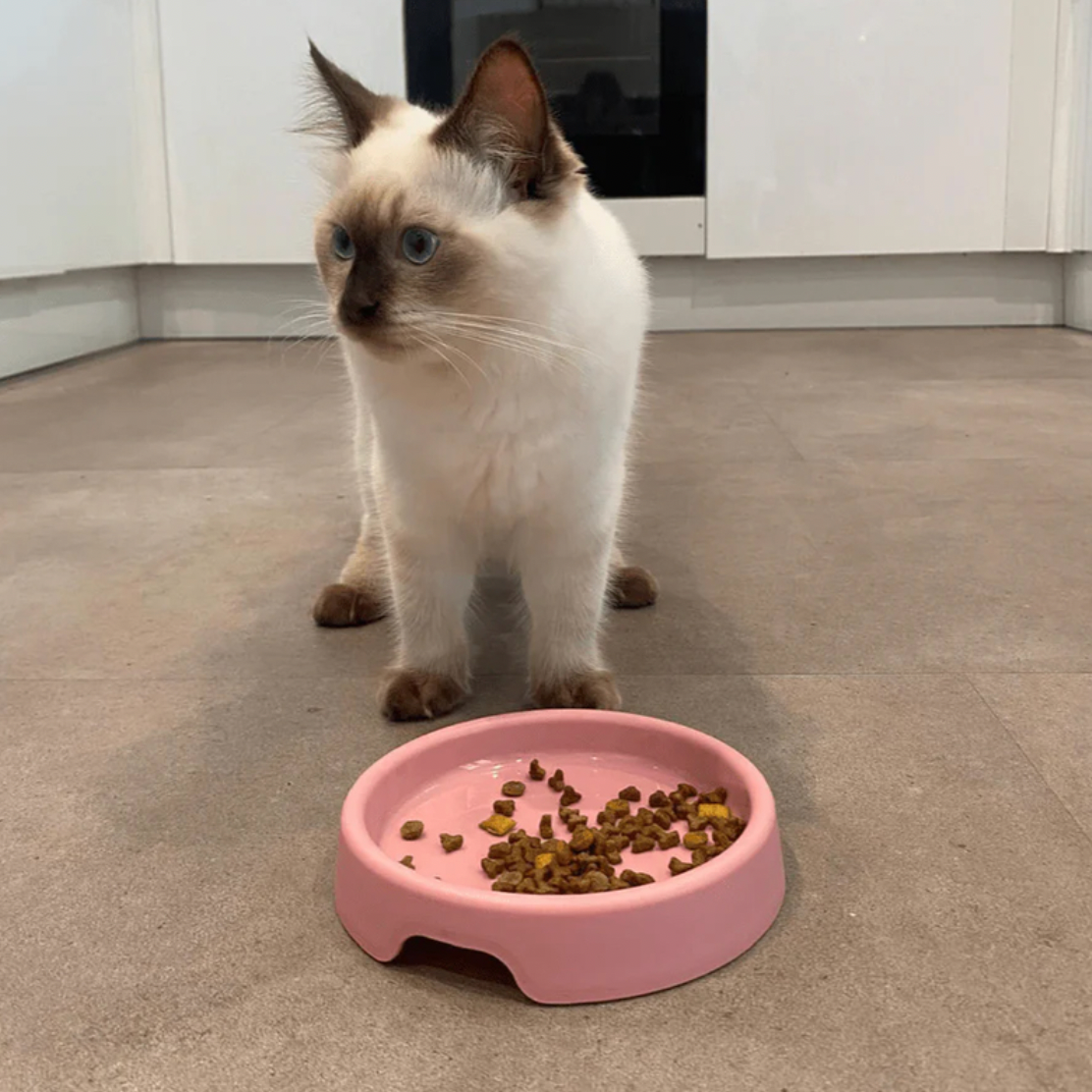 Beco Steady Cat Bowl Pink