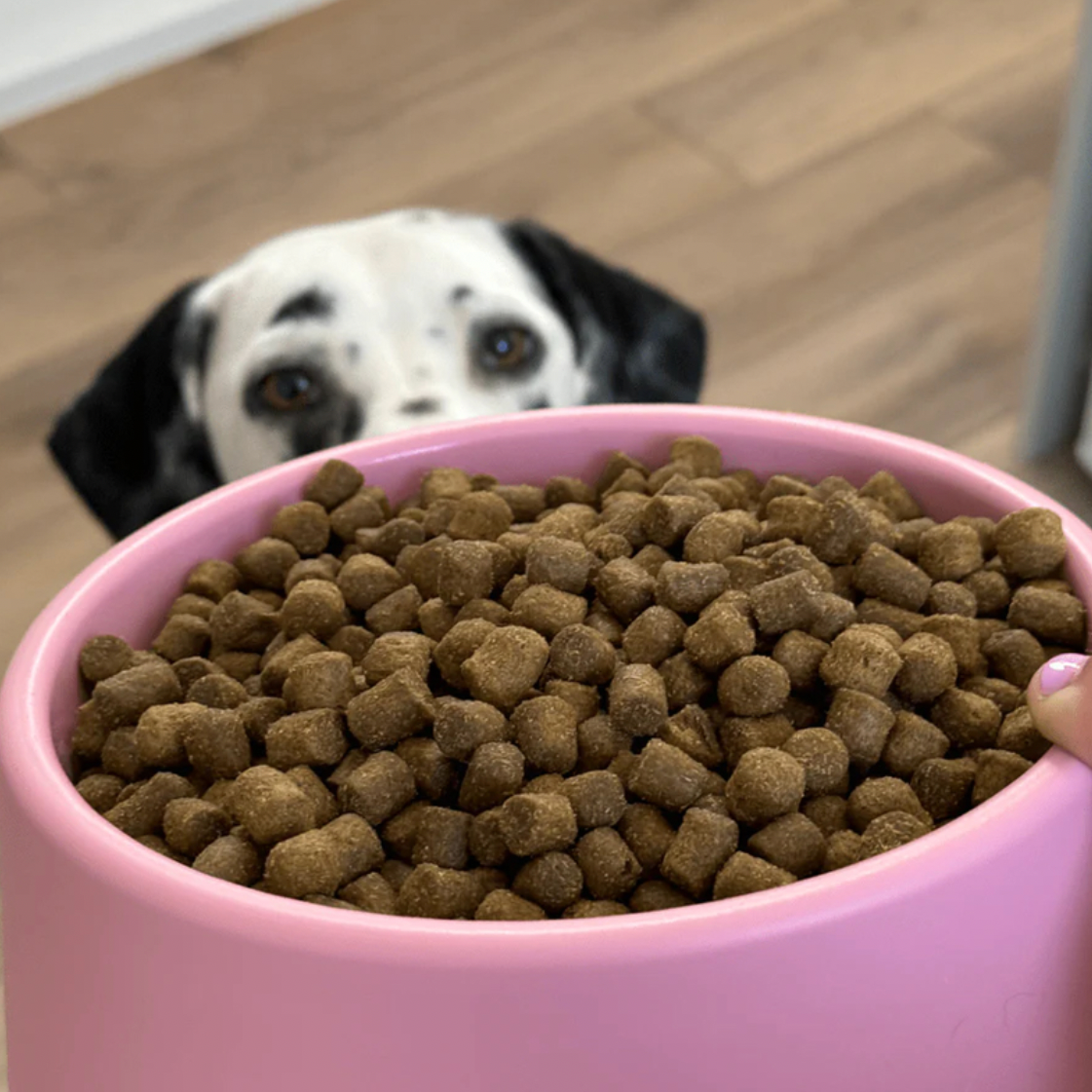 Beco Steady Dog Bowl Pink