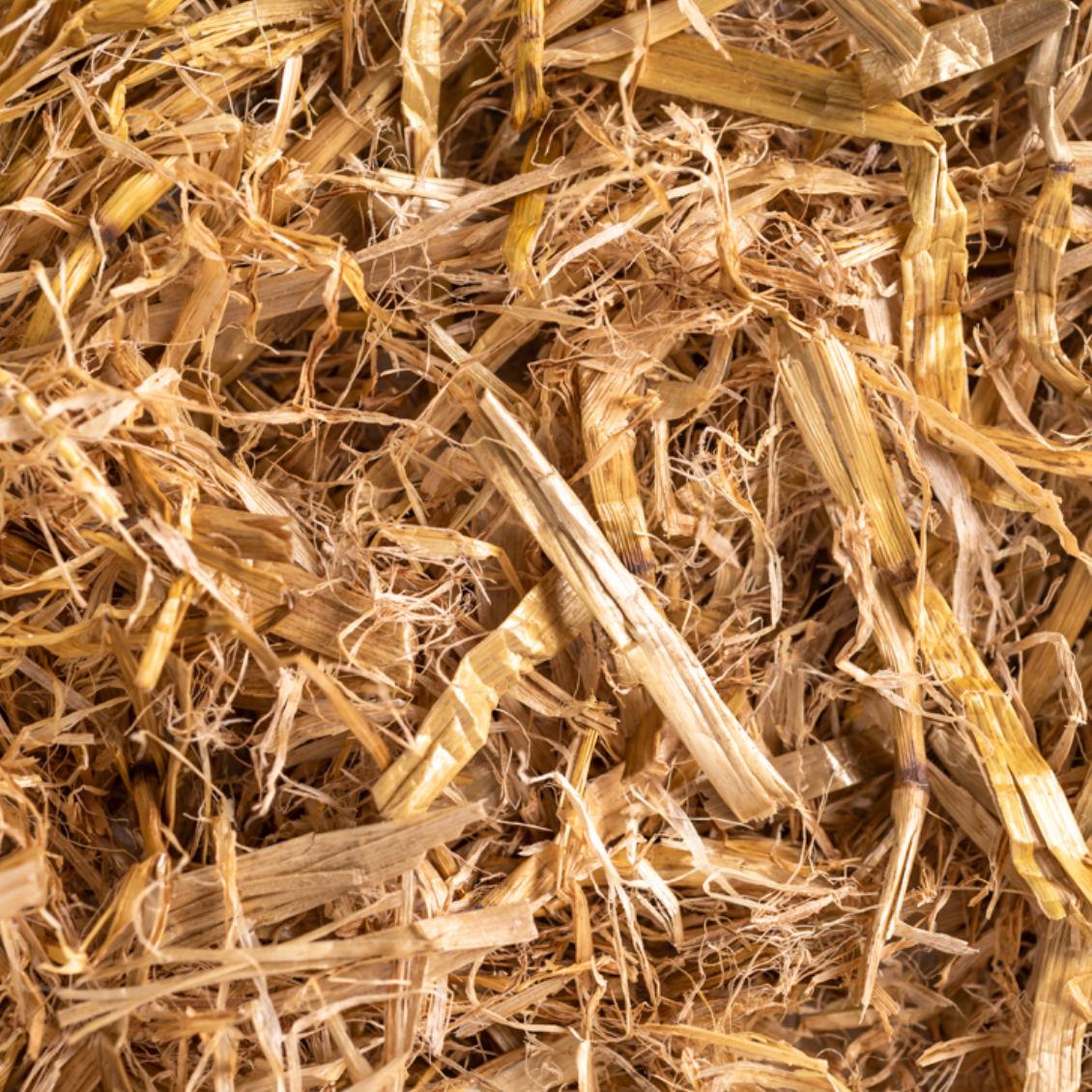 Bedding Straw