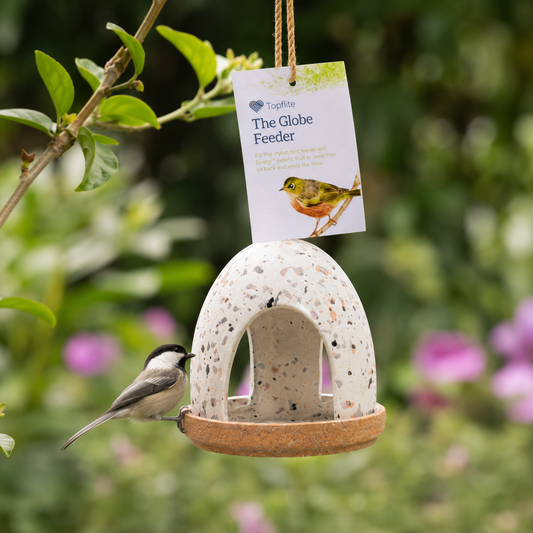The Globe Feeder