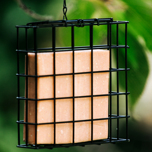 Wild Bird Energy Cake Feeder Set