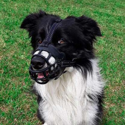 Muzzle Huskimo Specialist Freedom