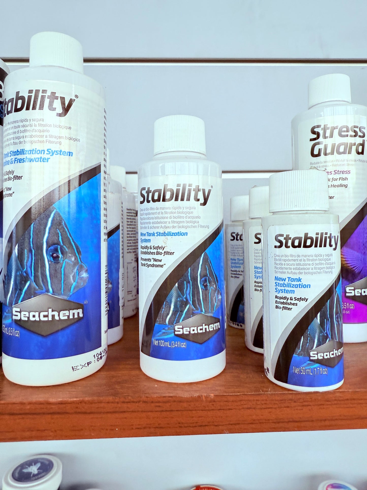Stability