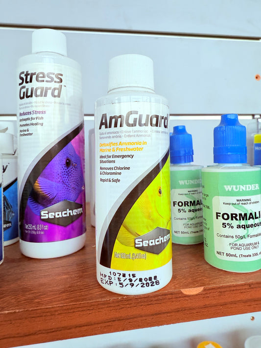 Am Guard 100ml
