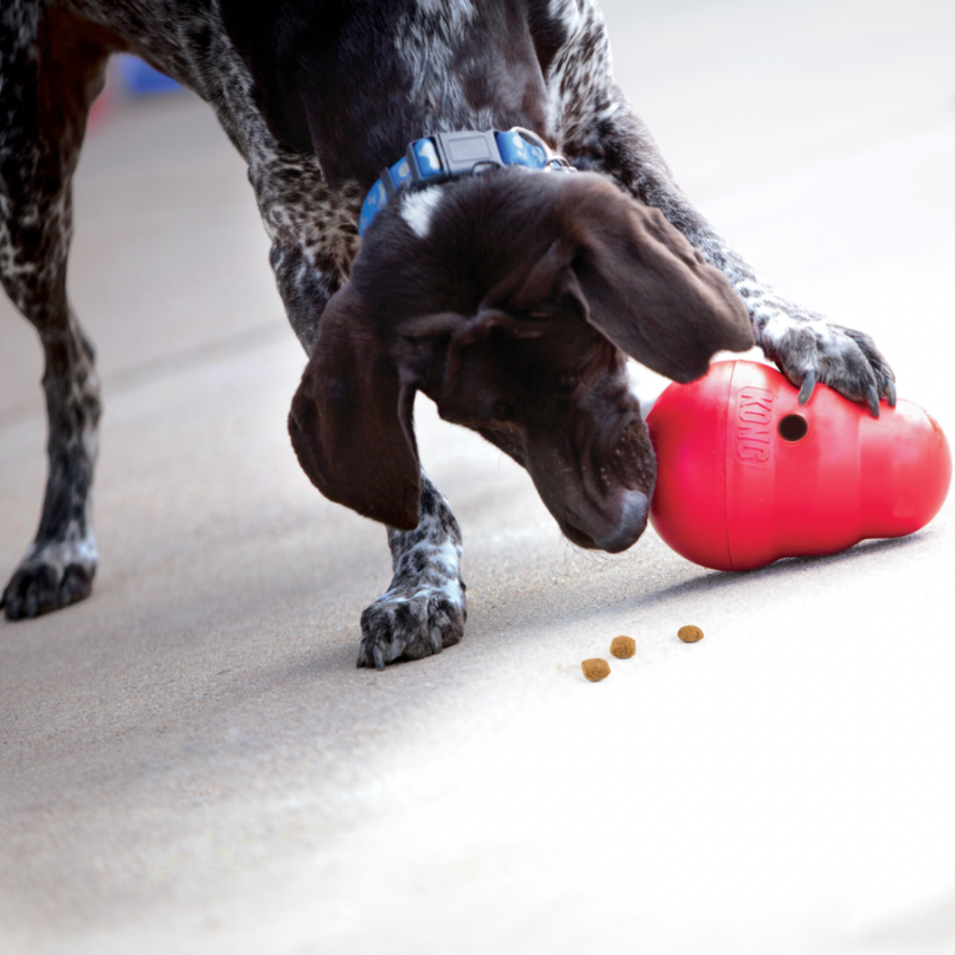 Kong Wobbler