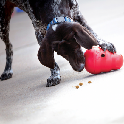 Kong Wobbler