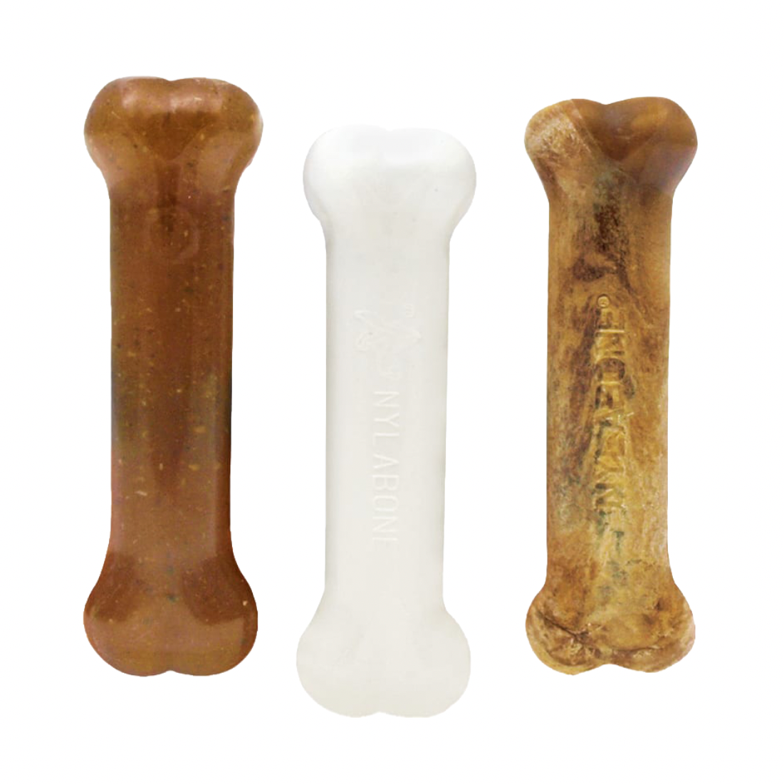 Nylabone Puppy Starter Kit