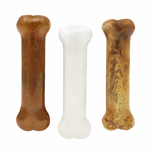 Nylabone Puppy Starter Kit