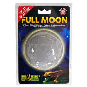 Full Moon Night Light