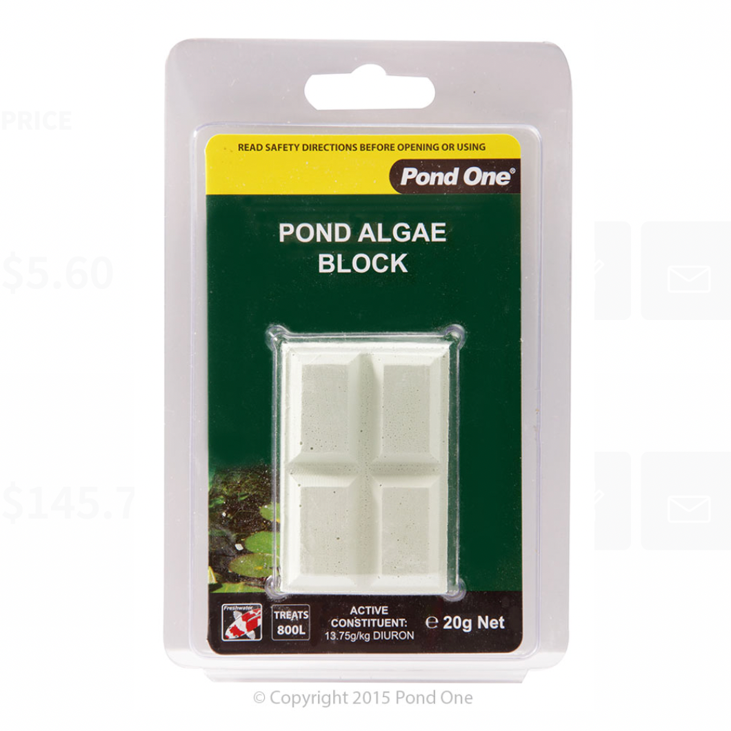 Pond One Pond Algae Block 20g