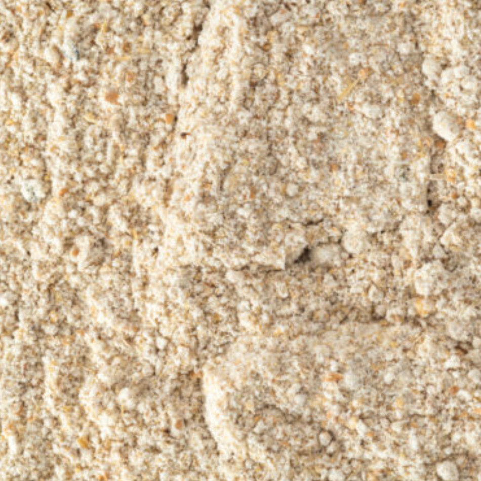 Pullet Grower Mash