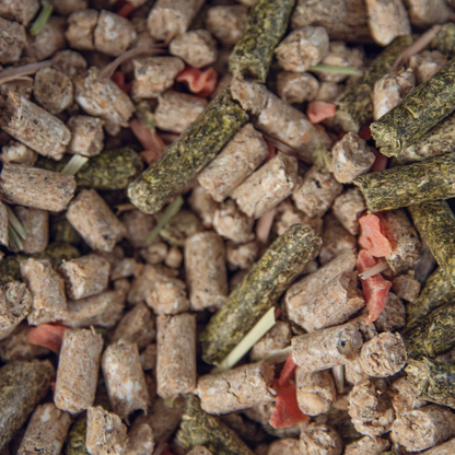 Rabbit and Guinea Pig Mix