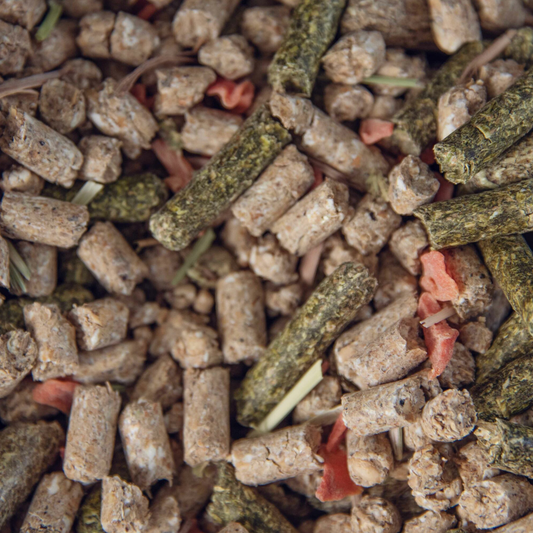 Rabbit and Guinea Pig Mix