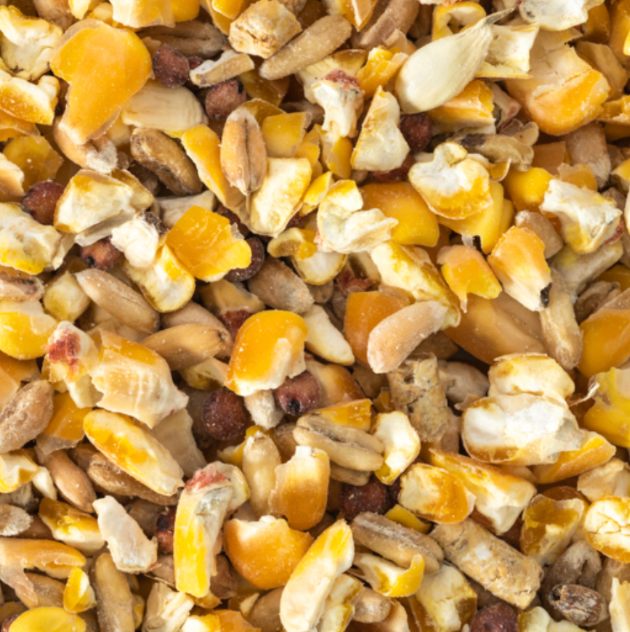 Dove Seed Mix