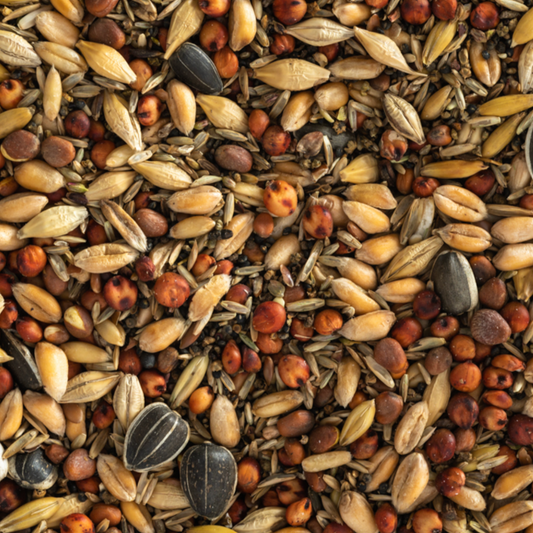 Wild Bird Seed Mix Coarse