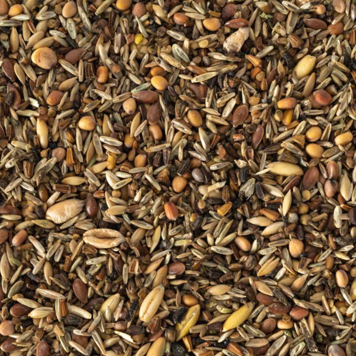 Topflite Wild Bird Seed Mix Fine