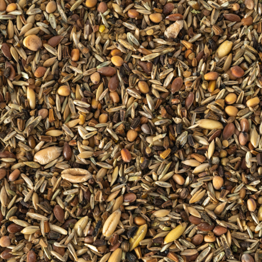 Topflite Wild Bird Seed Mix Fine
