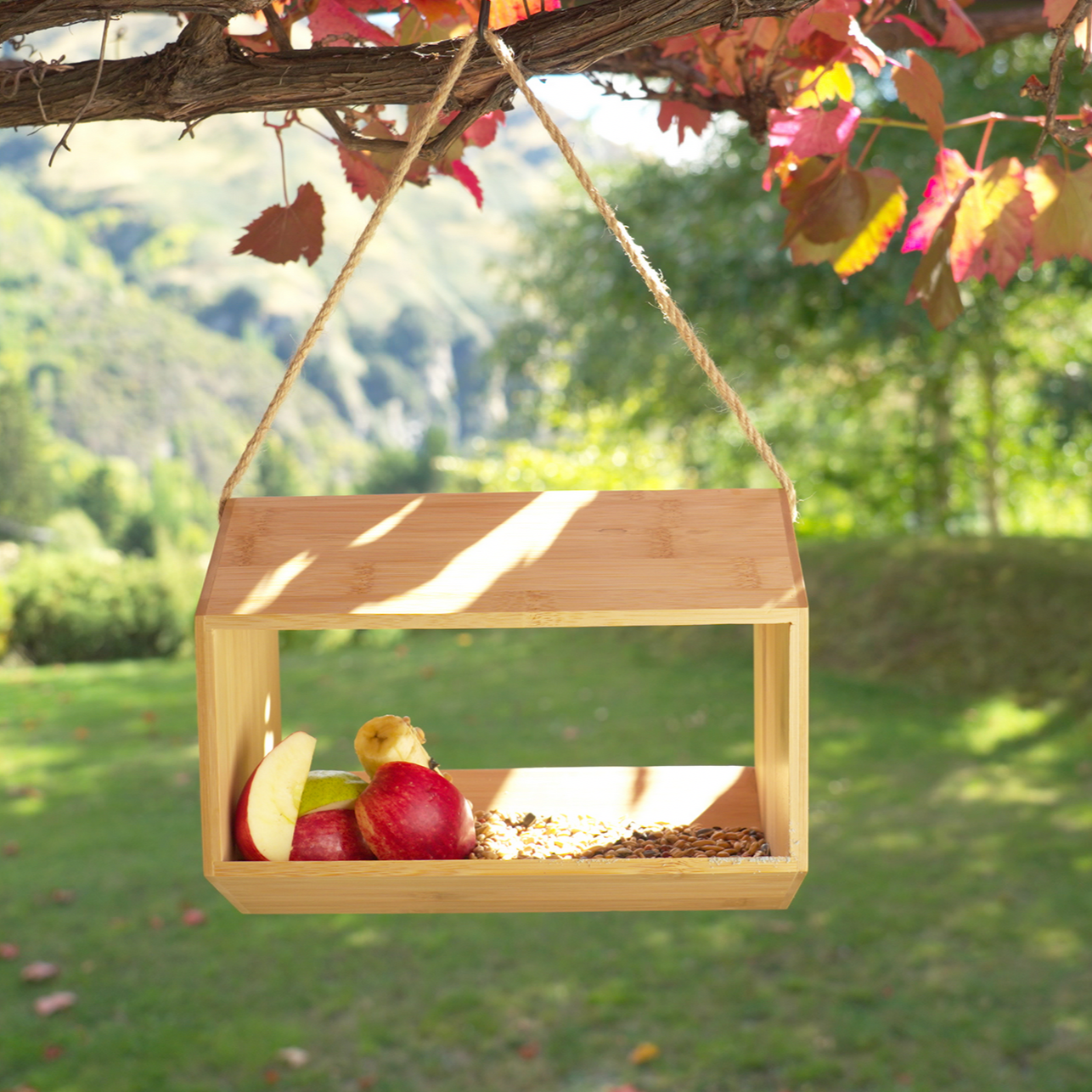 The Soargasboard Feeder