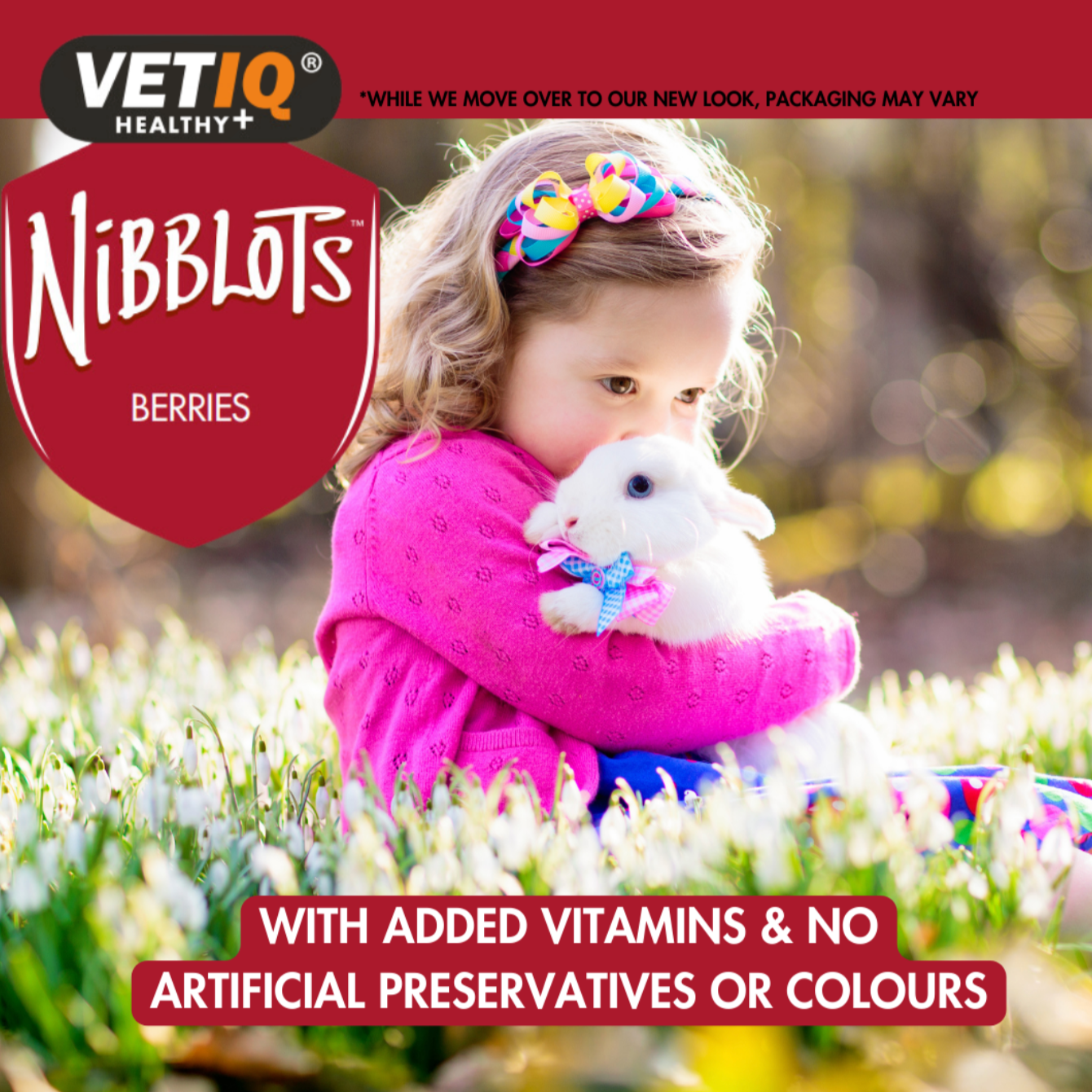 Nibblots Berries – Cream-Filled Treats for Small Animals