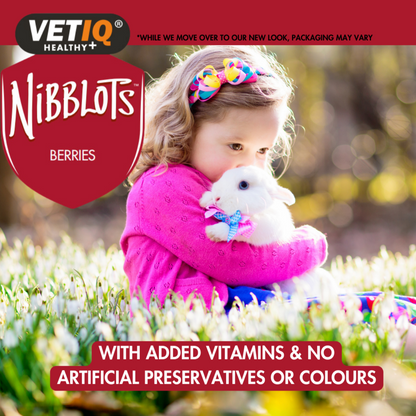 Nibblots Berries – Cream-Filled Treats for Small Animals