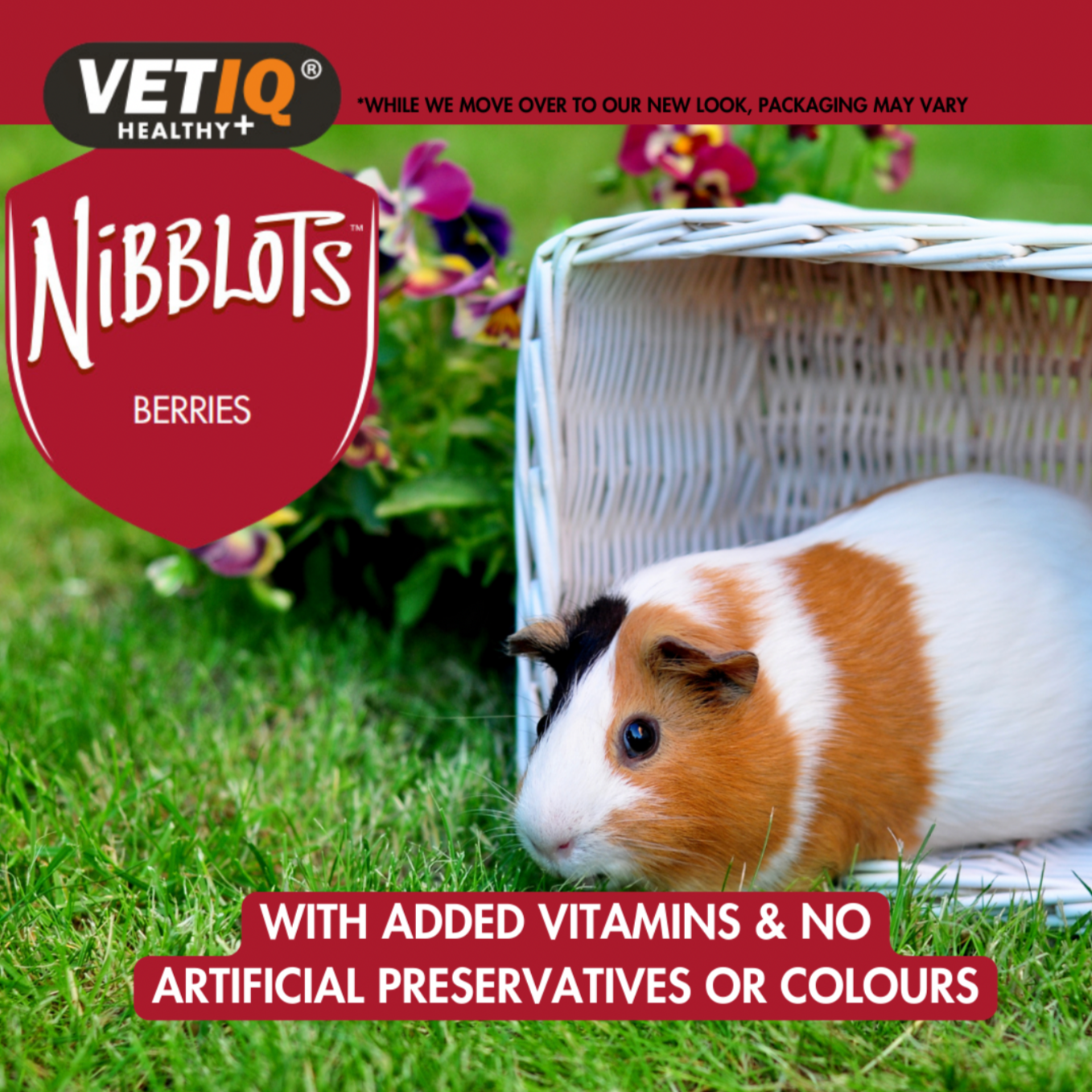 Nibblots Berries – Cream-Filled Treats for Small Animals