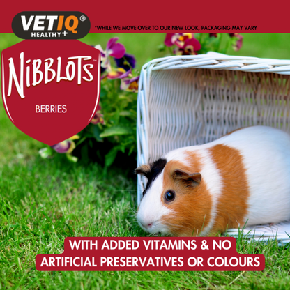 Nibblots Berries – Cream-Filled Treats for Small Animals