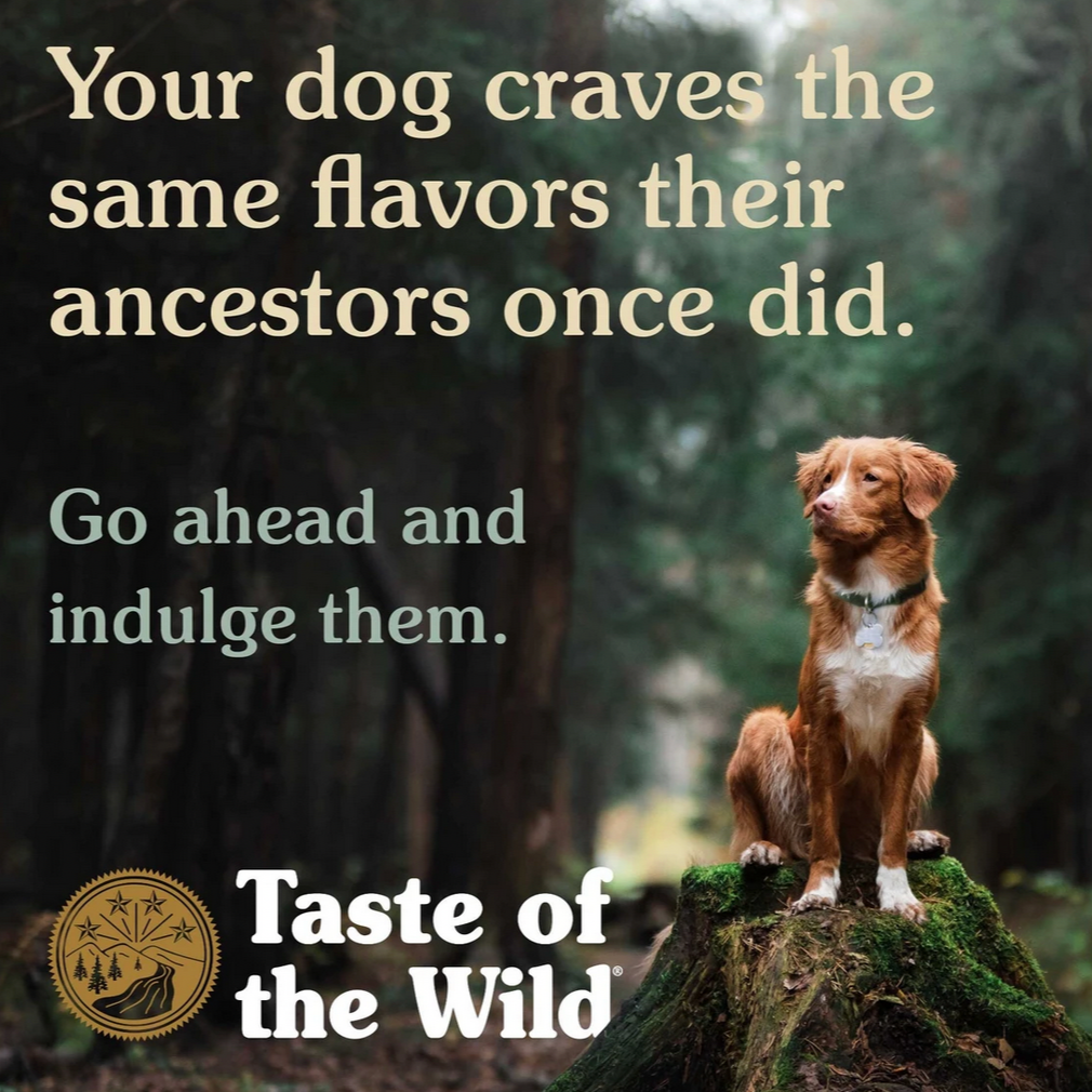 Taste of the Wild | High Prairie | Grain-Free Adult Dog Food – Roasted Bison & Venison