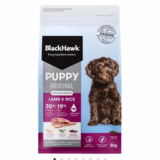 Black Hawk Puppy Medium Breed