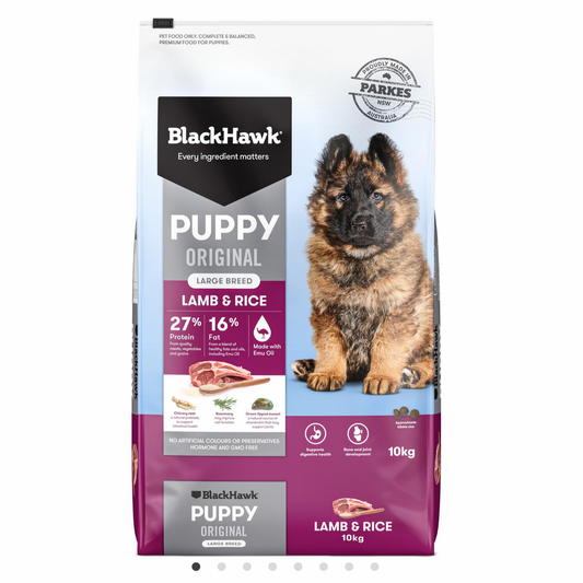Black Hawk Puppy Large Breed