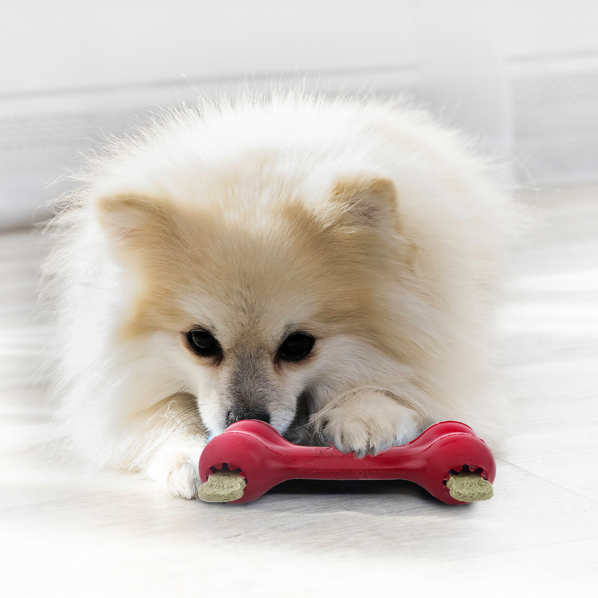 Kong Goodie Bone