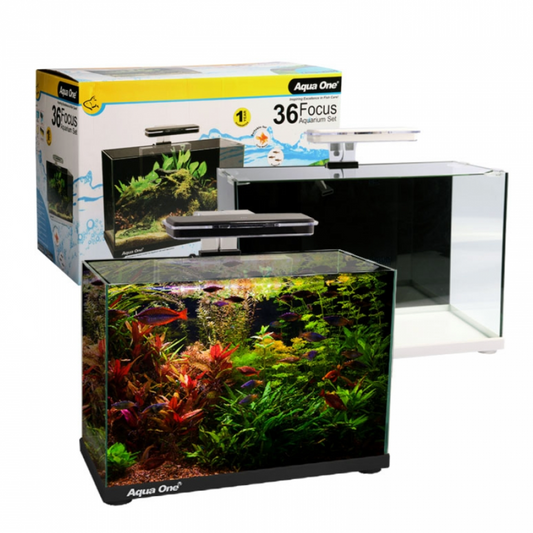 Aqua One Focus 36 Glass Aquarium 36L